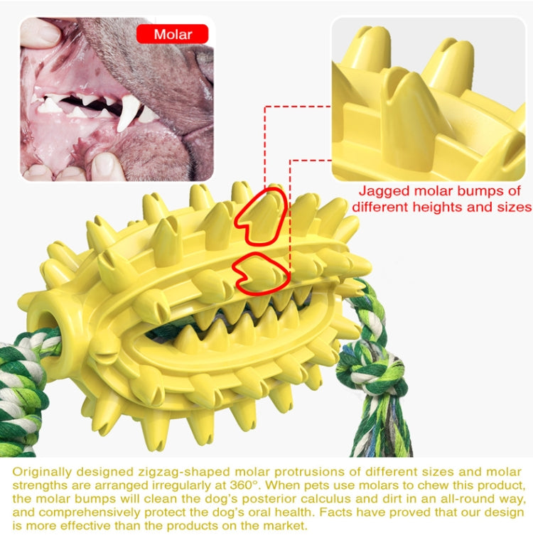 With Cotton Rope + No Cotton Rope Set Dog Toy With Rope Prickly Pear Molar Stick Dog Toothbrush