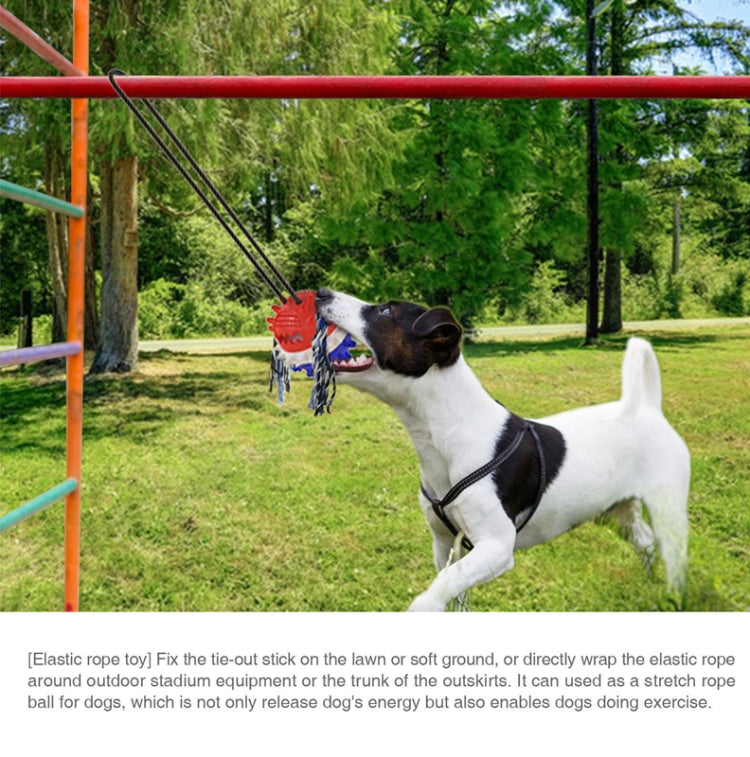 Pet Supplies Dog Molars Outdoor Tug-Of-War Draw Rope Ball Sounding Dog Toy