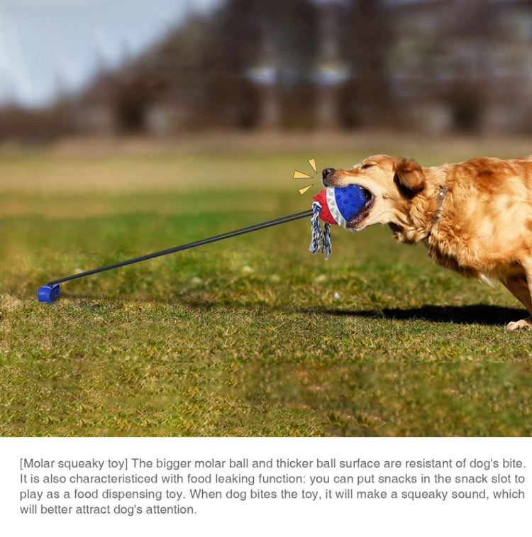 Pet Supplies Dog Molars Outdoor Tug-Of-War Draw Rope Ball Sounding Dog Toy