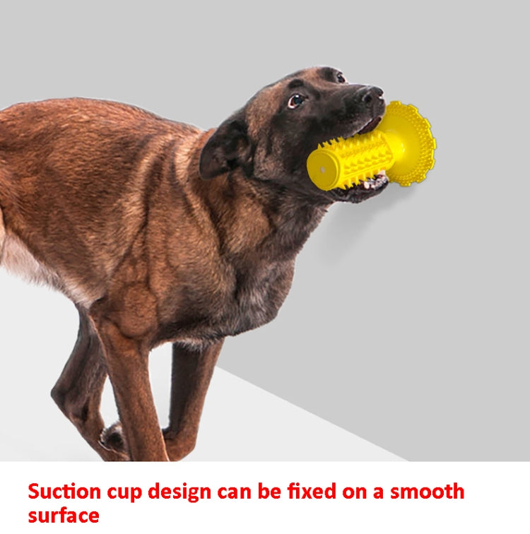 Suction Cup Sounding Dog Toy Bite Resistant Molar Stick Dog Toothbrush Pet Supplies