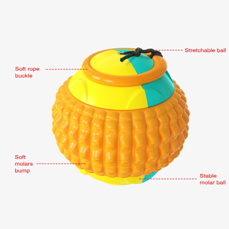 Pet Supplies Training Hand Throwing Ball Dog Molar Bite Resistant Interactive Anti-Boring Toy