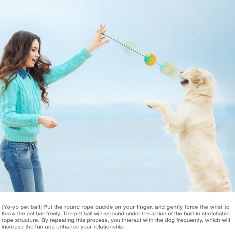 Pet Supplies Training Hand Throwing Ball Dog Molar Bite Resistant Interactive Anti-Boring Toy