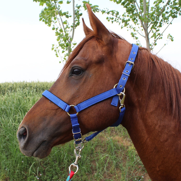Nylon Full-Line Board Horse Rein Headstall Equestrian Supplies, Specification: S (Blue)