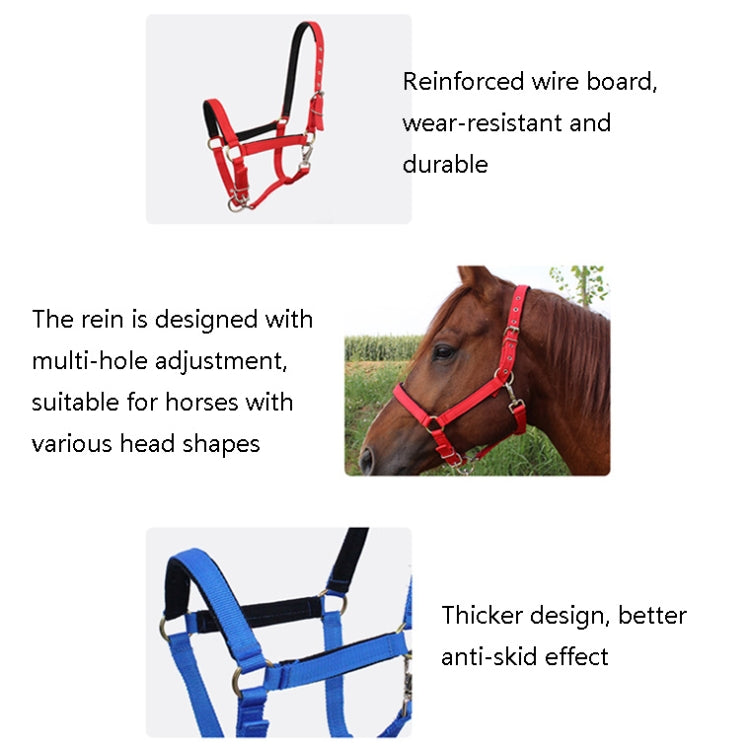 Nylon Full-Line Board Horse Rein Headstall Equestrian Supplies, Specification: S (Black)