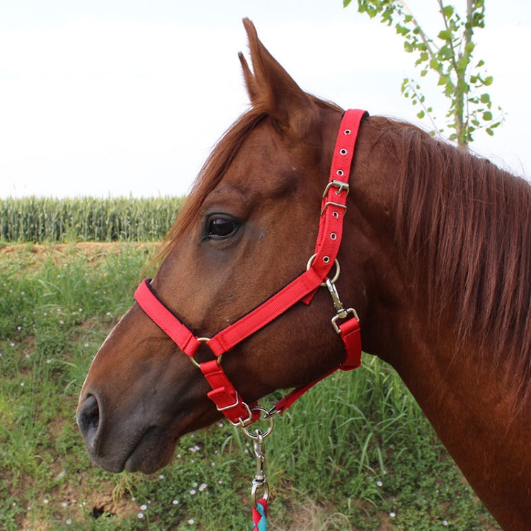Nylon Full-Line Board Horse Rein Headstall Equestrian Supplies, Specification: L (Red)