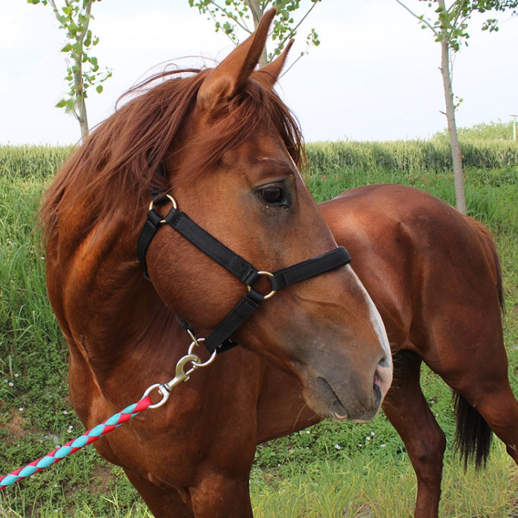 Nylon Full-Line Board Horse Rein Headstall Equestrian Supplies, Specification: XL (Red)