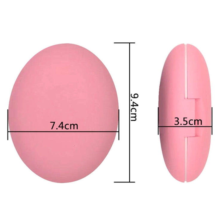 5 in 1 Eggshell Boxed Makeup Brush Set With Makeup Mirror(Pink)