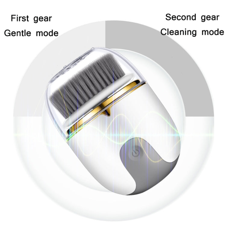 Electric Waterproof Cleansing Instrument Multi-Function Charging Beauty Instrument(Cold Metal White)