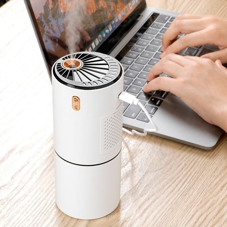 230ML 2 In 1 Air Humidifier Spray Moisturizing Negative Ion Car Air Purifier(White)