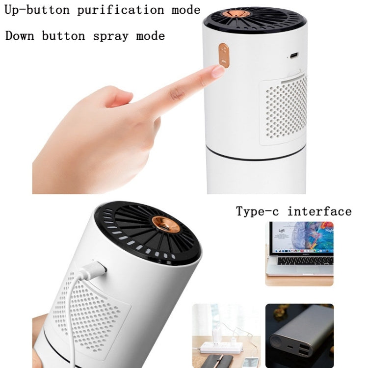 230ML 2 In 1 Air Humidifier Spray Moisturizing Negative Ion Car Air Purifier(White)