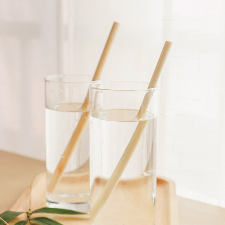 10 PCS Juice Coffee Pearl Milk Tea Natural Degradable Bamboo Straw, Style: 20cm Flat