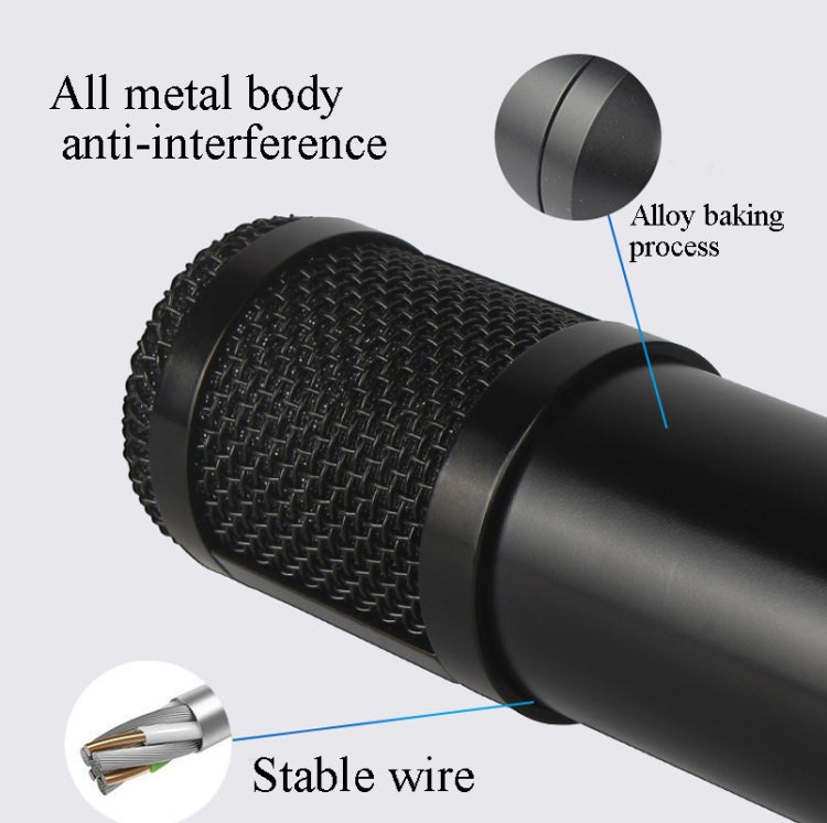 BM800 Condenser Microphone Set With USB Sound Card