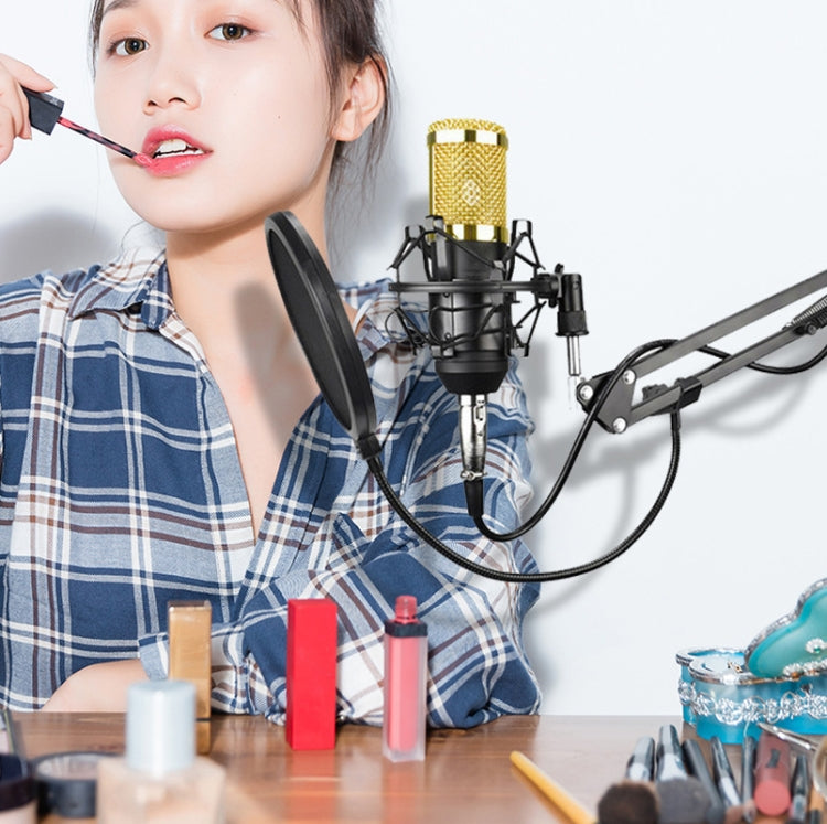 BM800 Condenser Microphone Set With USB Sound Card