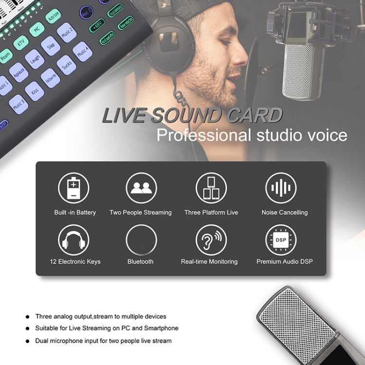 SK-200 Condenser Microphone Live Recording Equipment,Specification: Separate Sound Card