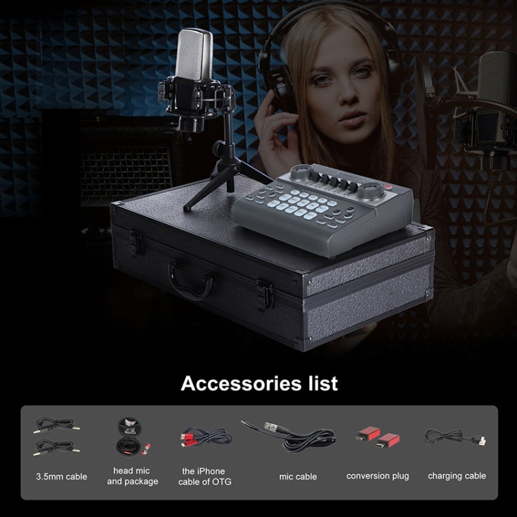 SK-200 Condenser Microphone Live Recording Equipment,Specification: Sound Card + Microphone Set