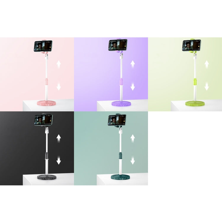 Multifunctional Lifting Colorful Live Bracket