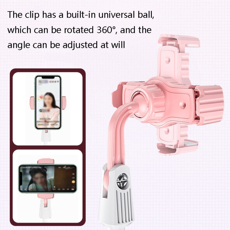 Multifunctional Lifting Colorful Live Bracket
