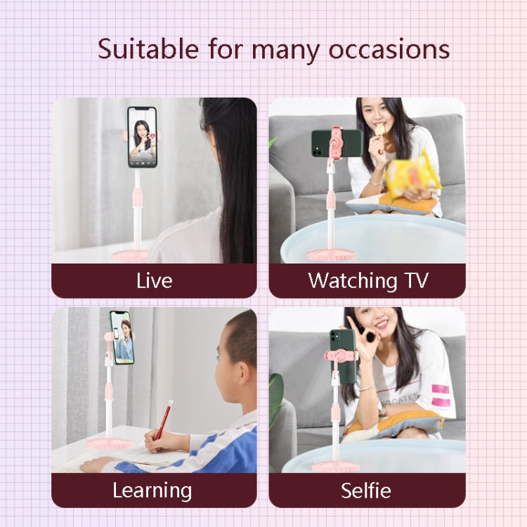 Multifunctional Lifting Colorful Live Bracket