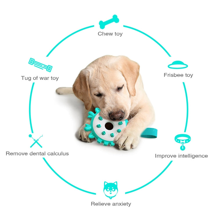 Ring Dog Toothbrushes Training Interactive Bite Dog Milling Toys