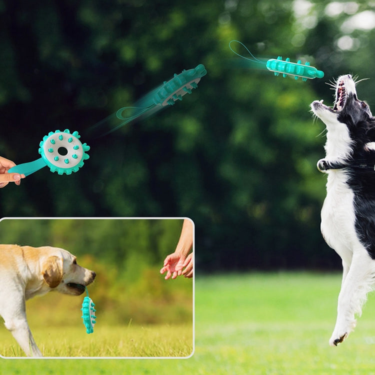 Ring Dog Toothbrushes Training Interactive Bite Dog Milling Toys
