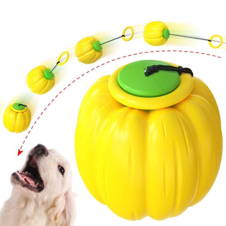 NG-01 Dog Molars Resistant To Bite Ball Pumpkin Hand Throwing Force Toy Ball