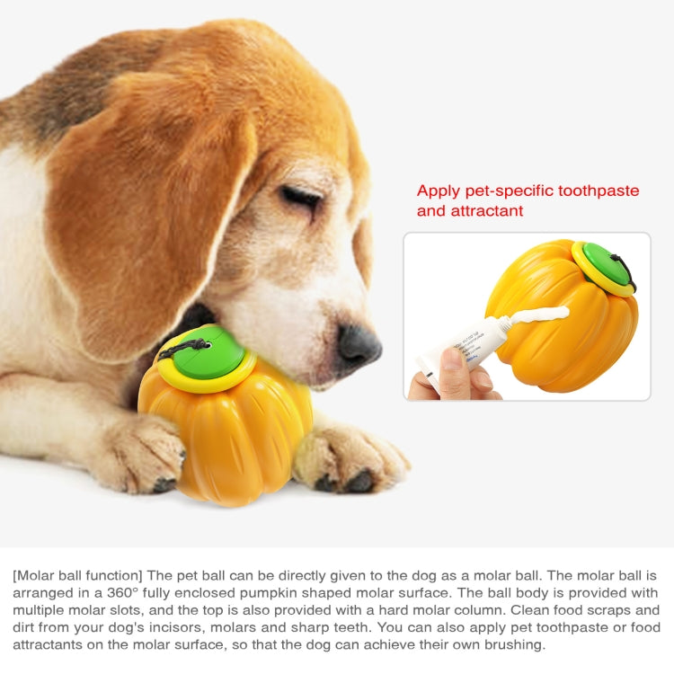 NG-01 Dog Molars Resistant To Bite Ball Pumpkin Hand Throwing Force Toy Ball