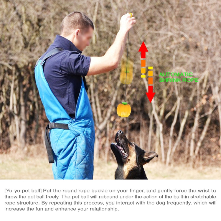 NG-01 Dog Molars Resistant To Bite Ball Pumpkin Hand Throwing Force Toy Ball