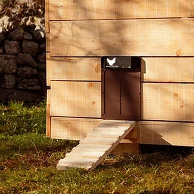 B177  Light-Sensitive Automatic Chicken Coop Door Hen House Pet Door