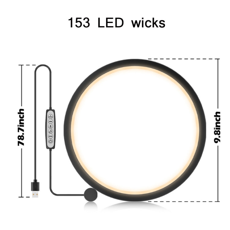 10 inch USB Music Rhythm RGB LED Atmosphere Ring Light