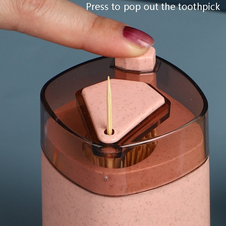 5 PCS MS-263 Press Toothpick Box Kitchen Gadget