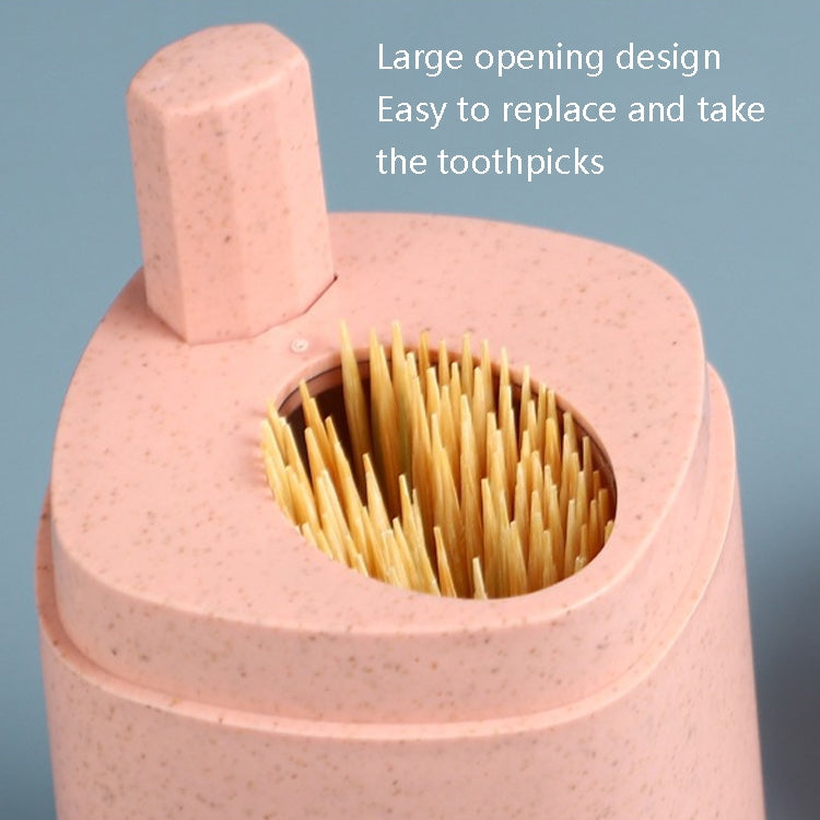 5 PCS MS-263 Press Toothpick Box Kitchen Gadget