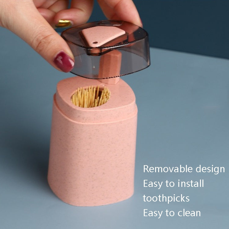 5 PCS MS-263 Press Toothpick Box Kitchen Gadget