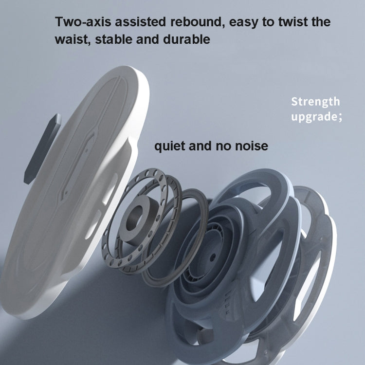 Split Double-Bearing Twisting Disc, Single (Blue)