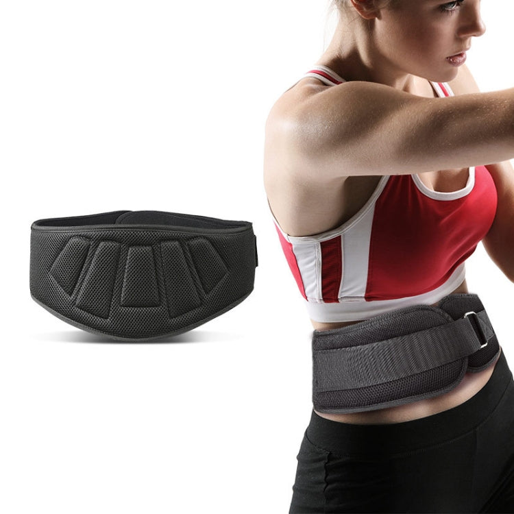 Sports Waist Support Squat Weightlifting Training Belt, Size: L
