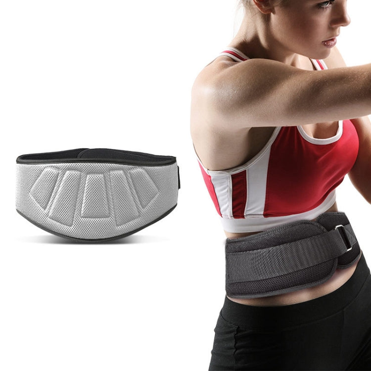 Sports Waist Support Squat Weightlifting Training Belt, Size: L