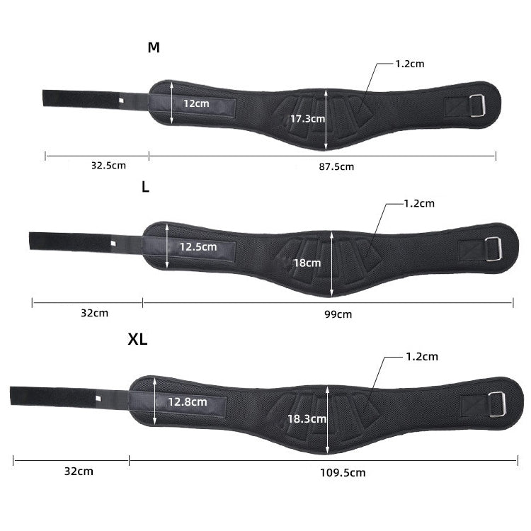 Sports Waist Support Squat Weightlifting Training Belt, Size: L