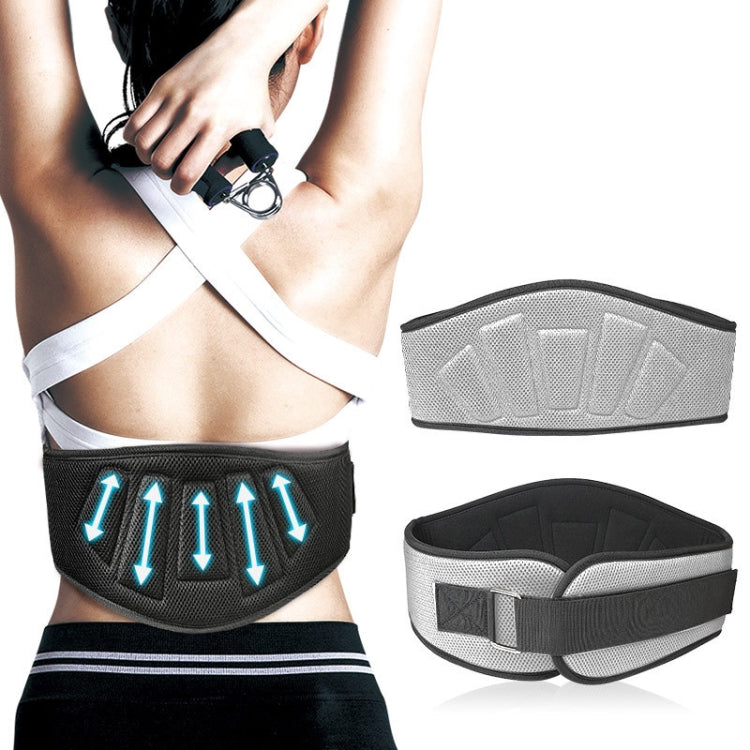 Sports Waist Support Squat Weightlifting Training Belt, Size: L