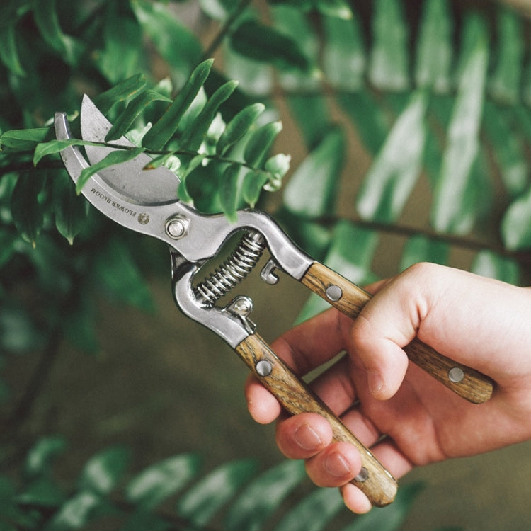 TP273 Fraxinus Mandshurica Gardening Pruning Shears, Specification: 21x5cm