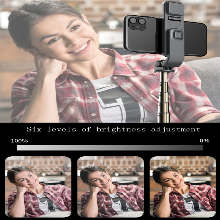 L03S Bluetooth Fill Light Tripod Integrated Selfie Stick
