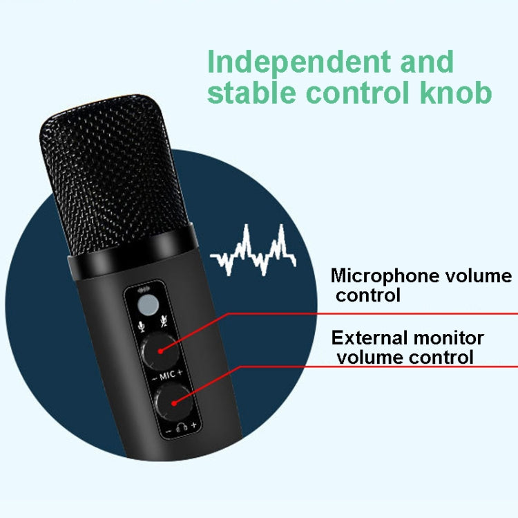 BM-501 192KHz USB Condenser Microphone Set With RGB Lighting Effect, Style: Cantilever Suit