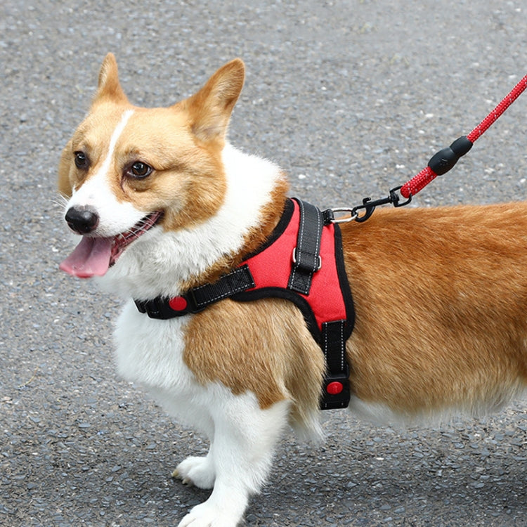 K9 Dog Adjustable Chest Strap, Size: S