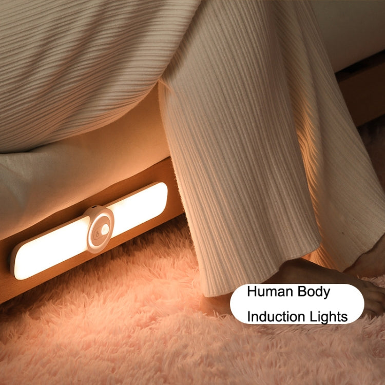 RD05 Smart Home Human Body Induction Cabinet Lights, Style: Induction Version