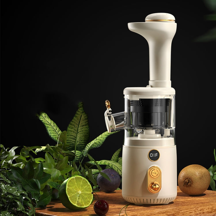 BP314 45W Squeeze Fruit Juicer Retro Small Juice Machine