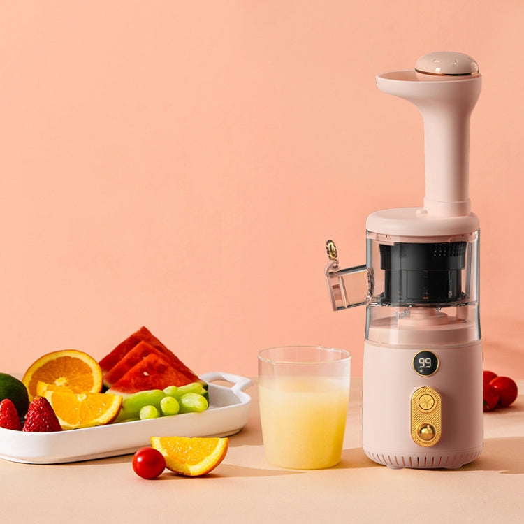 BP314 45W Squeeze Fruit Juicer Retro Small Juice Machine