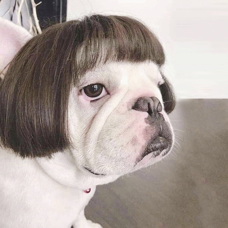 Pet Fake Puppy Cospaly Props(Black Straight Hair)