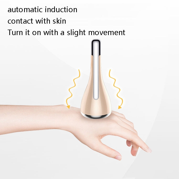 A01 Household Facial Vibration Massage Instrument