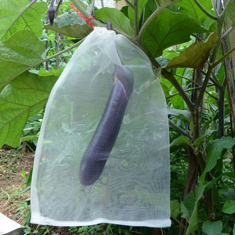 15 PCS Fruit & Vegetable Insect-Proof And Bird-Proof Nylon Mesh Bag, Specification: 25x25cm