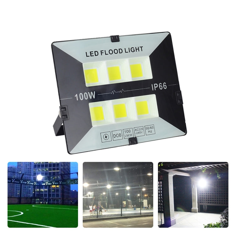 100W 6500K Cool White LED Waterproof Flood Light