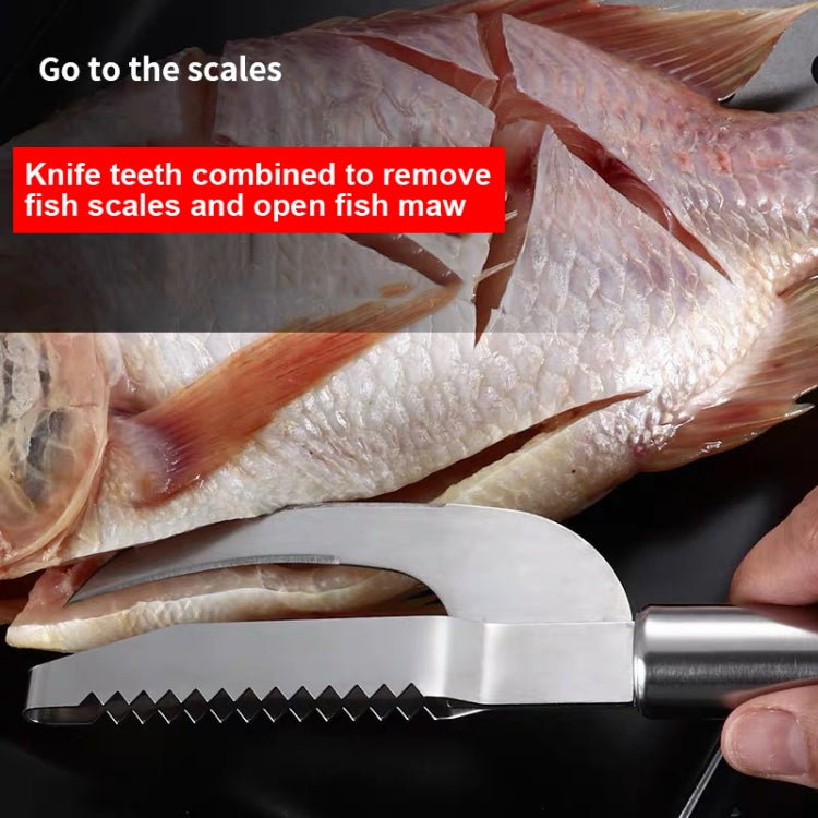 4 PCS Stainless Steel Scraper Fish Maw Knife Gill Planer, Specification: 410 Ordinary