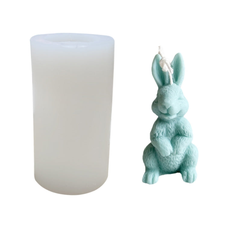 2 PCS 3D Scented Candle Ornament Silicone Mold